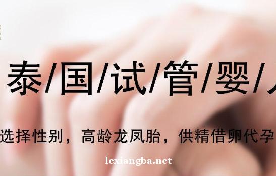 国内试管代怀(国内试管代怀：解读新生事业)