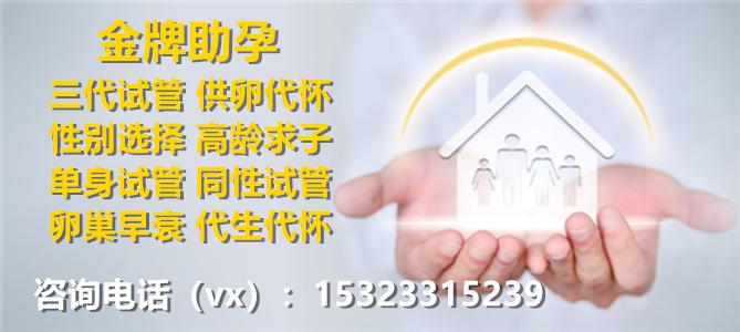 借卵代生孩子全包【借卵代生孩子全包：一站式解决生育难题】