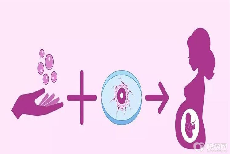 国内哪里可以借卵生子(国内哪里可以借卵生子？)