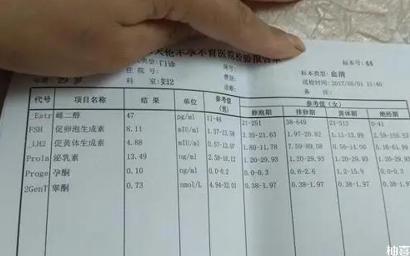 50岁供卵试管的成功率(50岁供卵试管成功率揭秘)