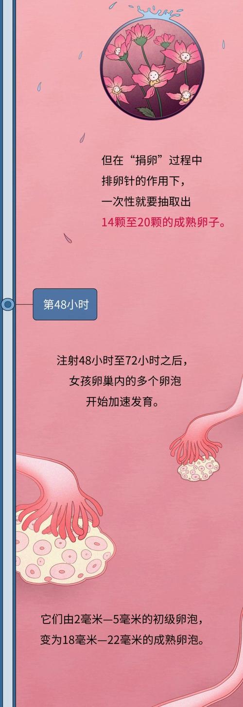 中国正规的供卵机构_中国正规供卵机构：助您圆母亲梦