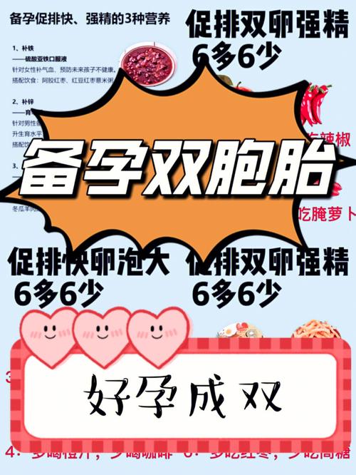 借卵试管代怀双胞胎费用_借卵试管代怀双胞胎费用解析及比较