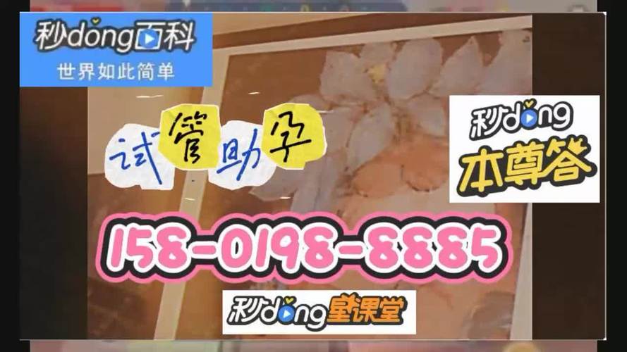 借卵试管代怀合法公司(借卵试管代怀合法公司：助您实现梦想)