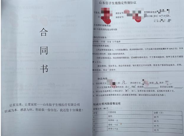 借卵试管代怀合同-借卵试管代怀合同：权利与责任