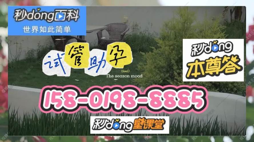 正规试管代怀公司官方网站(正规试管代怀公司官方网站大全)