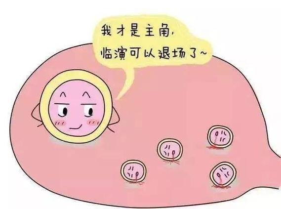 国内借卵试管代怀中心-国内借卵试管代怀中心：助您圆梦做父母