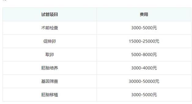 2024最新试管代怀费用表【2024最新试管代怀费用表大揭秘】