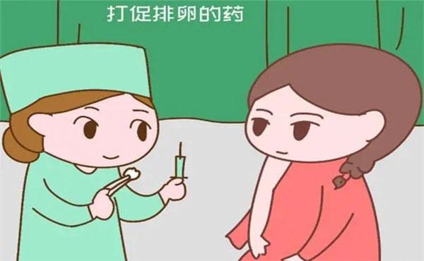 借卵试管代怀安全吗_借卵试管代怀安全吗，需要了解的关键信息