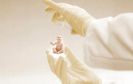 同性恋找正规试管代怀(同性恋寻求正规试管代怀服务)