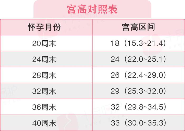 借卵试管代怀费用多少-借卵试管代怀费用如何确定