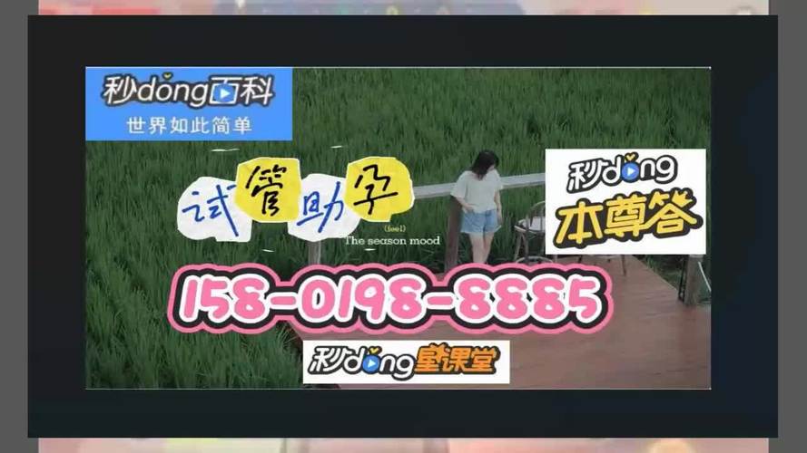 同性恋试管代怀正规公司-同性恋试管代怀正规公司：专业助您圆同性恋家庭梦