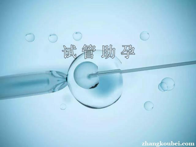 借卵做试管医院_借卵做试管医院：助您实现生育梦想