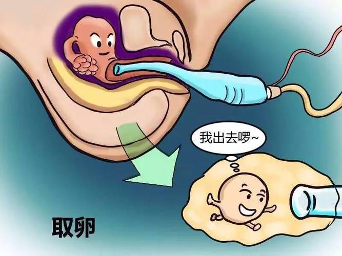 借卵试管代怀双胞胎零风险-借卵试管代怀双胞胎零风险：安全可靠的选择