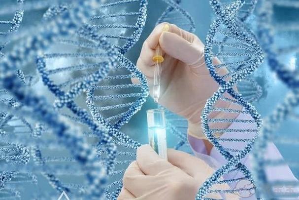 正规试管代怀公司排名-正规试管代怀公司排名大揭秘