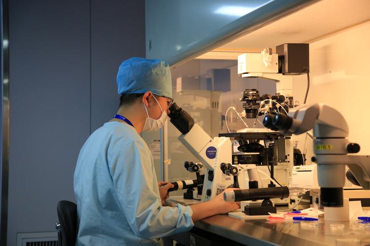 国内有正规的供卵试管代怀_国内正规供卵试管代怀中心