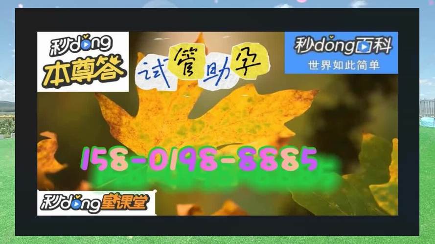 借卵试管代怀电话是多少_借卵试管代怀电话查询