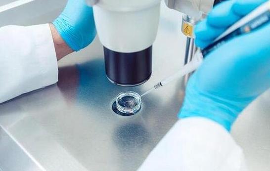 正规医院里面可以试管代怀吗【正规医院内可以进行试管代怀吗？】