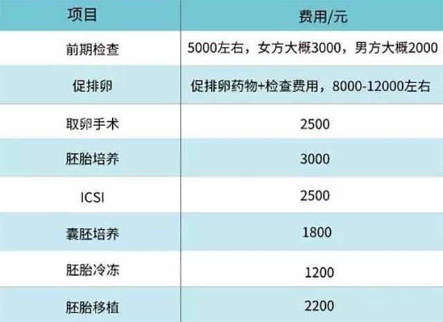 2024年试管代怀费用_2024年试管代怀费用大揭秘