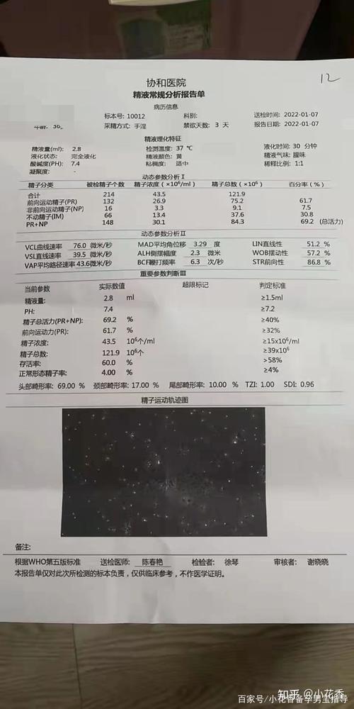 借卵试管代怀微信群(借卵试管代怀微信群，共享生育经验)