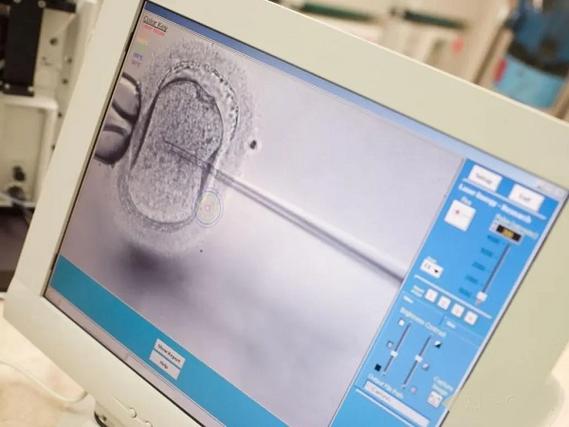 做试管代怀的成功几率【试管代怀成功几率揭秘】